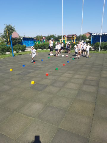 Весёлые старты 